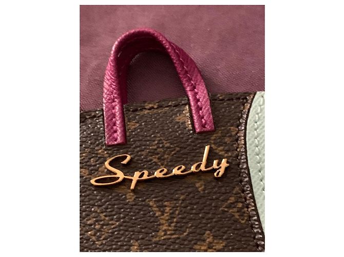 Charm per borsa Louis Vuitton Speedy Marrone Pelle - vista 5