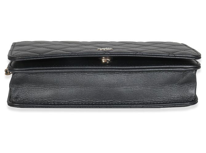 Wallet On Chain Cartera de Perlas de Cordero Gris Oscuro Iridiscente con Cadena de Chanel Castaño - vista 6