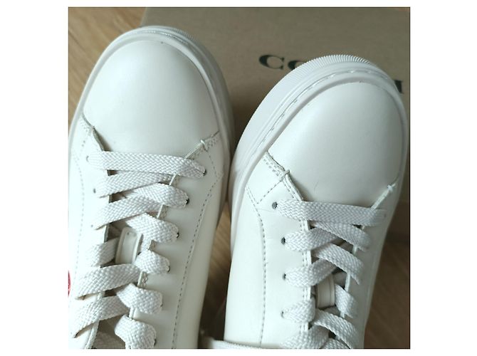 Coach Sneakers mit Kirschmuster Aus weiß - Ansicht 11
