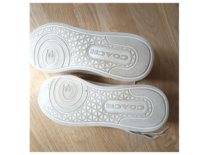 Coach Sneakers mit Kirschmuster Aus weiß - Ansicht 16
