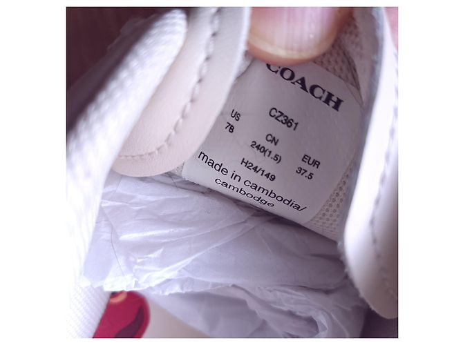 Coach Sneakers mit Kirschmuster Aus weiß - Ansicht 17