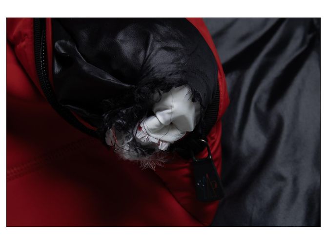 Moncler, Grenoble Vonne Daunenjacke in Rot - Ansicht 5