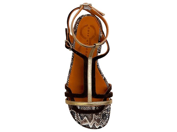 Sandales Chie Mihara Dali Campan Snake Ante Testa - vue 4