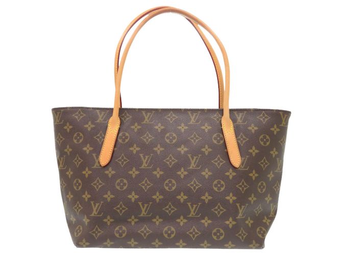 Borsa Tote Monogram Raspail PM di Louis Vuitton Marrone - vista 2