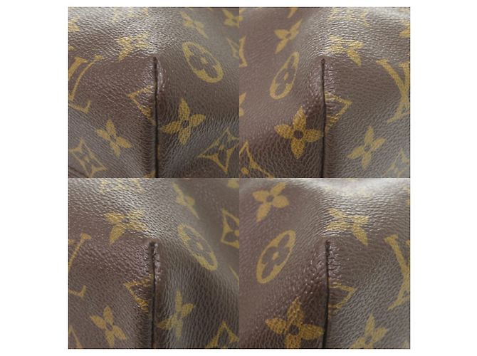 Borsa Tote Monogram Raspail PM di Louis Vuitton Marrone - vista 4