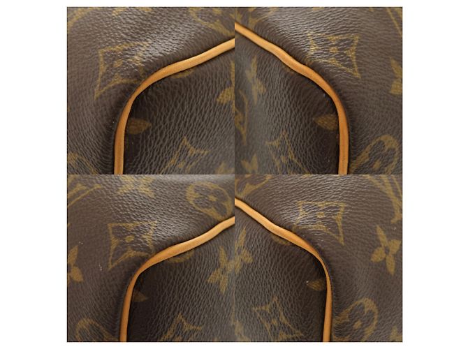 Borsa a mano Louis Vuitton Speedy 25 Monogram Marrone - vista 4
