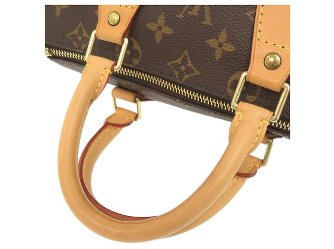 Borsa a mano Louis Vuitton Speedy 25 Monogram Marrone - vista 5