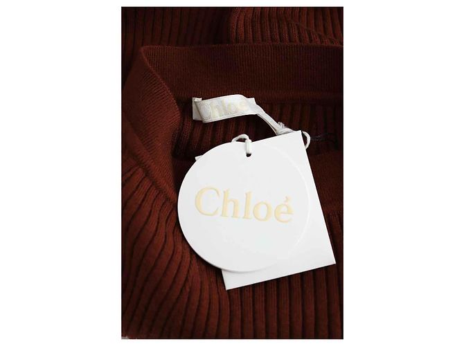 Chloé Falda de lana marrón Castaño - vista 5