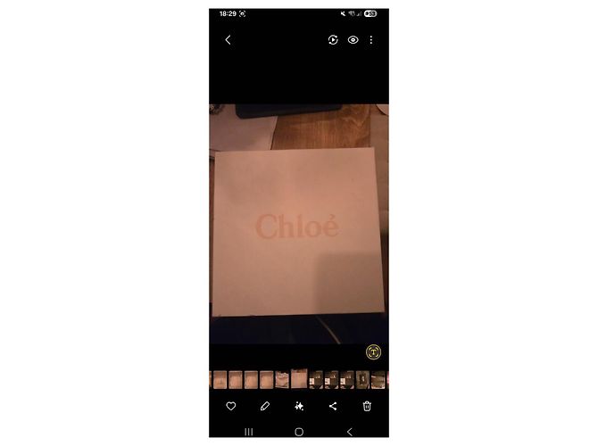 Chloé Mini Borsa Gala Pelle Beige - vista 8