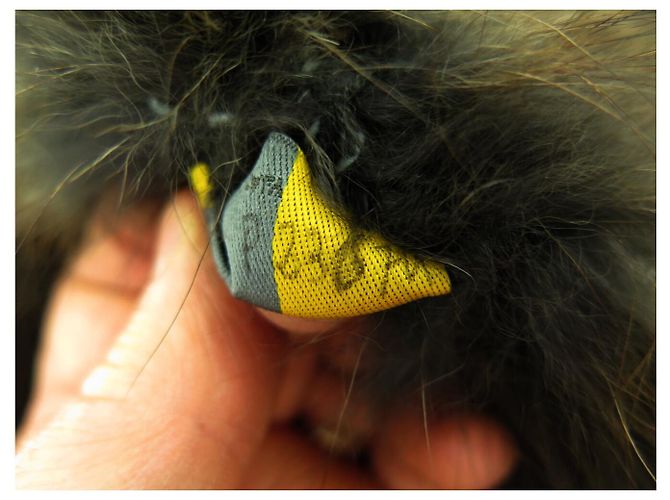 NUEVO GORRO FENDI DE PIEL DE ZORRO MARRÓN Castaño - vista 11