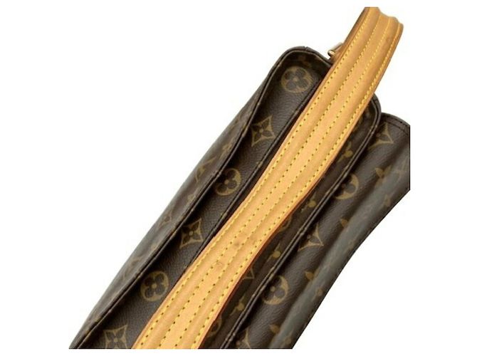 Borsa a Spalla Monogram Viva Cite MM di Louis Vuitton Monogramma - vista 10