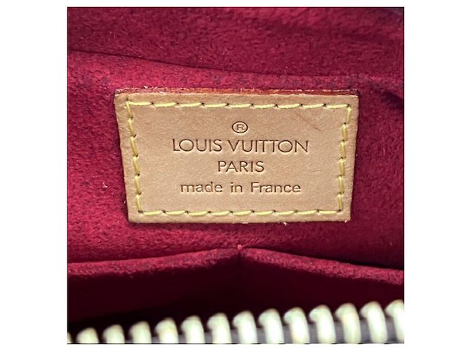Borsa a Spalla Monogram Viva Cite MM di Louis Vuitton Monogramma - vista 16
