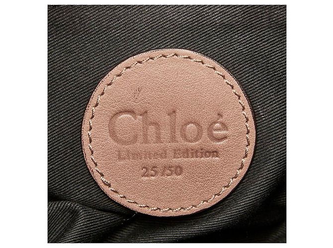 Chloé Borsa in pelle di pitone Chloe Marrone Beige - vista 9