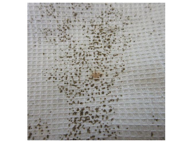 Autre Marque Chaqueta con capucha Print Mods de CASTELBAJAC SPORT Beige - vista 18
