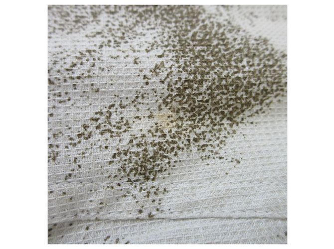 Autre Marque Chaqueta con capucha Print Mods de CASTELBAJAC SPORT Beige - vista 20