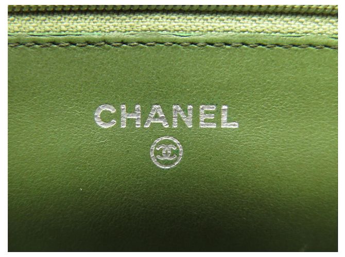 SAC A MAIN CHANEL WALLET ON CHAIN ED LIMITEE CUIR PYTHON BANDOULIERE WOC BAG Vert - vue 8
