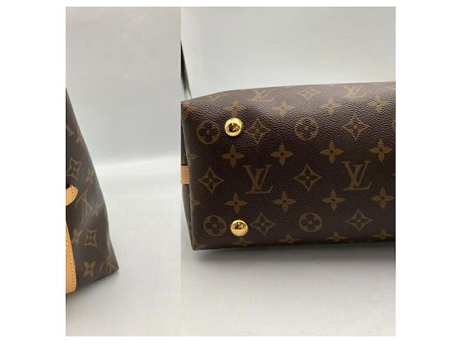 Louis Vuitton Monogram Carryall NM PM M46203 Schultertasche Braun - Ansicht 3