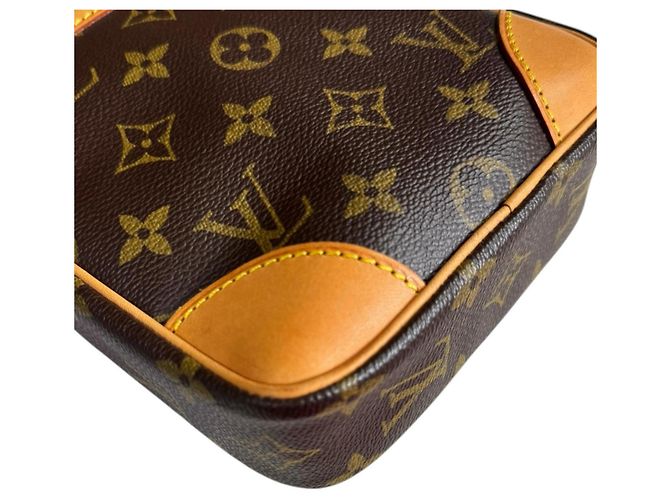 Borsa a Spalla Monogram Danube di Louis Vuitton Marrone - vista 7