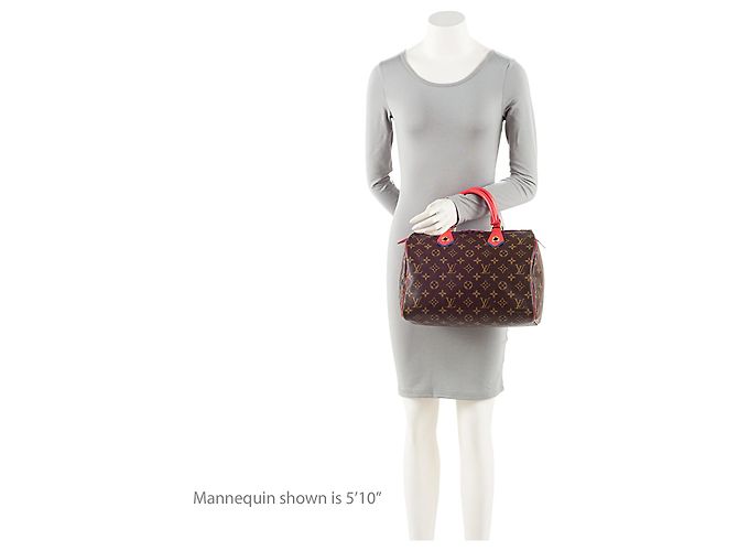 Louis Vuitton Limited Edition Monogram Canvas Totem Speedy 30 Tasche Braun - Ansicht 5