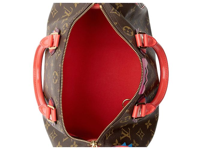 Louis Vuitton Limited Edition Monogram Canvas Totem Speedy 30 Tasche Braun - Ansicht 7