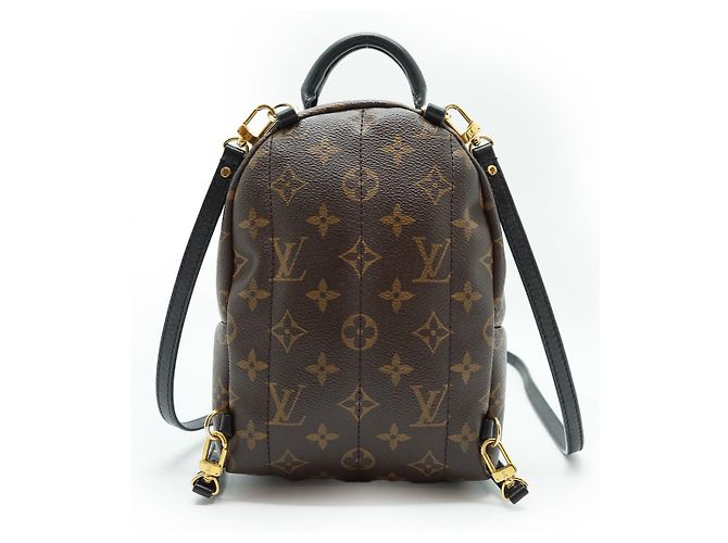 Louis Vuitton Mini Palm Springs Monogram Marrone - vista 2