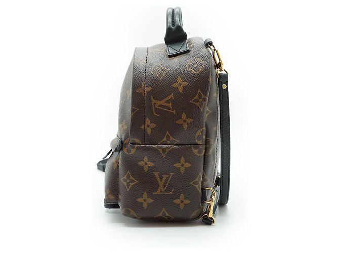 Louis Vuitton Mini Palm Springs Monogram Marrone - vista 3