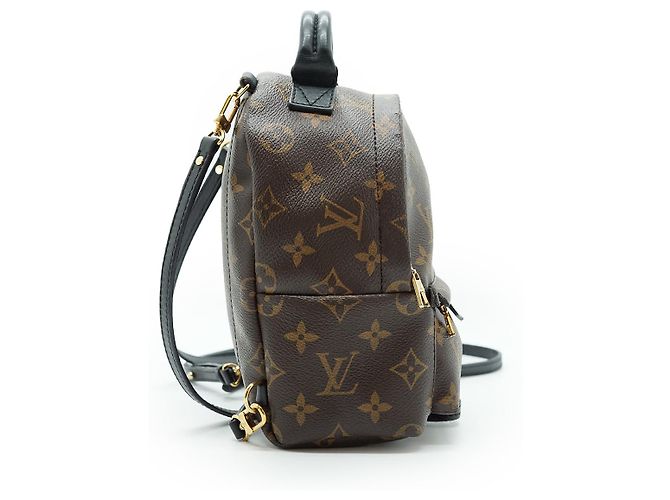 Louis Vuitton Mini Palm Springs Monogram Marrone - vista 4