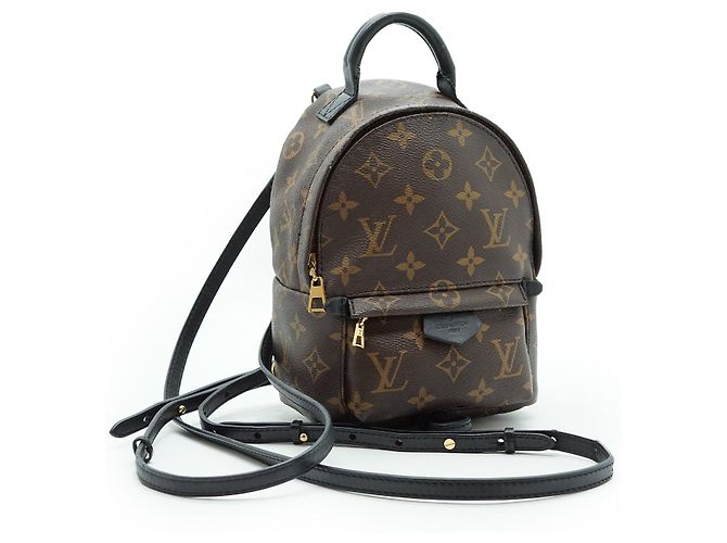 Louis Vuitton Mini Palm Springs Monogram Marrone - vista 5