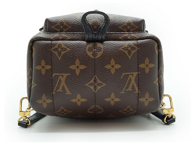 Louis Vuitton Mini Palm Springs Monogram Marrone - vista 6