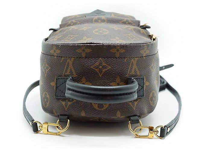 Louis Vuitton Mini Palm Springs Monogram Marrone - vista 7