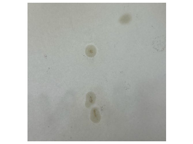 Graue Gummitasche von Chanel Braun Gelb - Ansicht 9