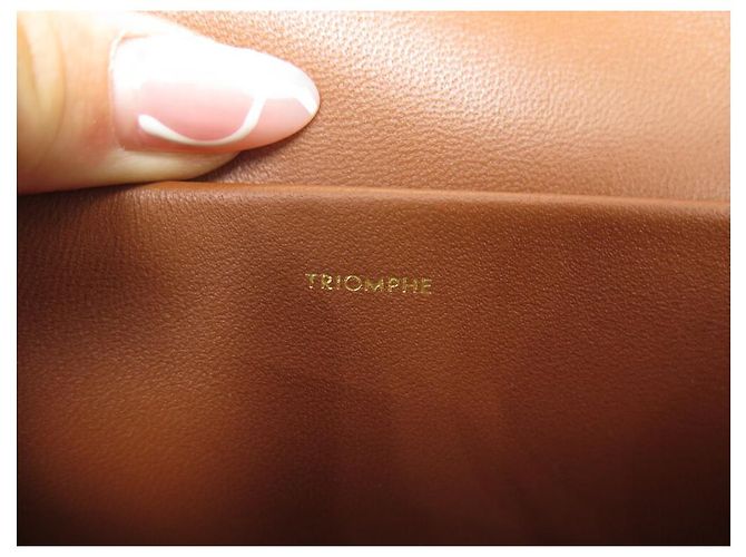 Triomphe Céline NUOVA BORSA A MANO CELINE CLAUDE TRIONFO CANVAS 194142CUZ Marrone - vista 11