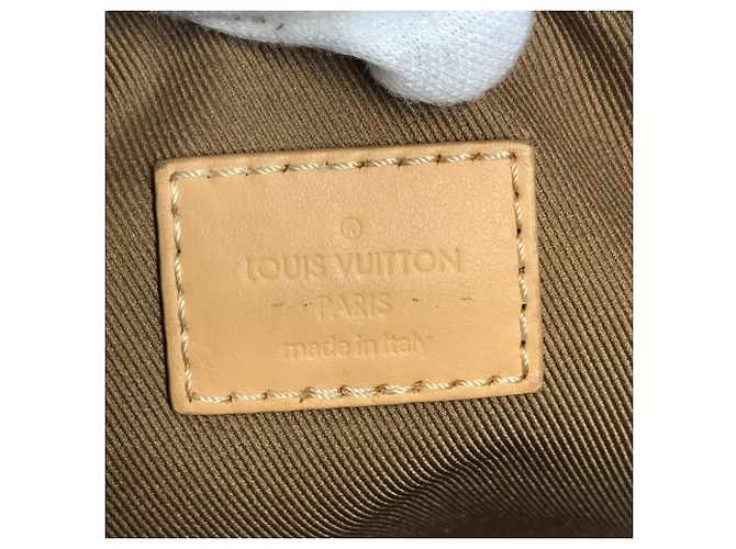 Borsa Hobo Cargo Monogram Pharrell Williams di Louis Vuitton Marrone Beige - vista 11
