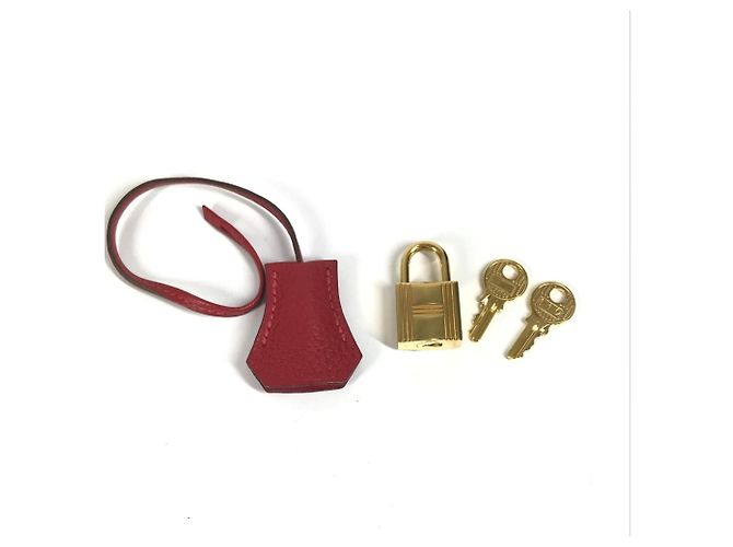 Borsa Tote Hermès Bolide 35 in Rosso Rouge - vista 10