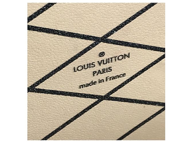 Borsa Clutch Petite Malle NM Catgram Monogram Louis Vuitton Marrone Rosso - vista 17