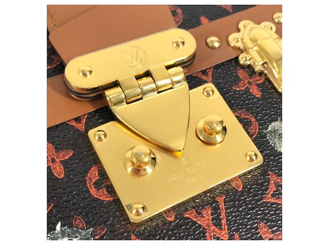 Borsa Clutch Petite Malle NM Catgram Monogram Louis Vuitton Marrone Rosso - vista 7