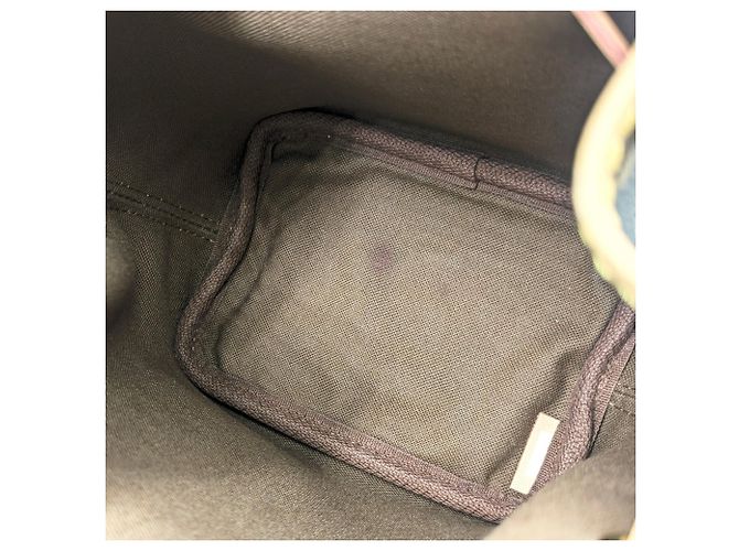 Noe Borsa a Spalla Nano Noé Monogramma Louis Vuitton Marrone - vista 10