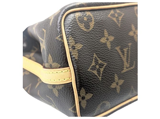 Noe Borsa a Spalla Nano Noé Monogramma Louis Vuitton Marrone - vista 6