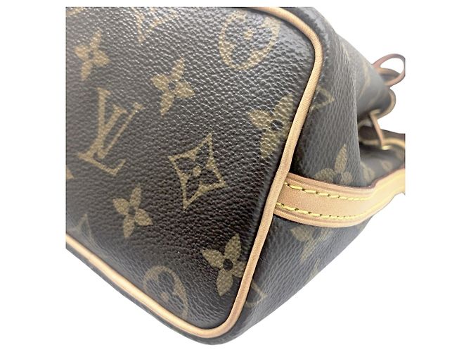 Noe Borsa a Spalla Nano Noé Monogramma Louis Vuitton Marrone - vista 7