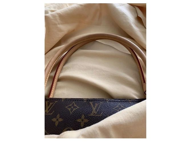 Borsa a mano Louis Vuitton Raspail MM Marrone in Tela - vista 12
