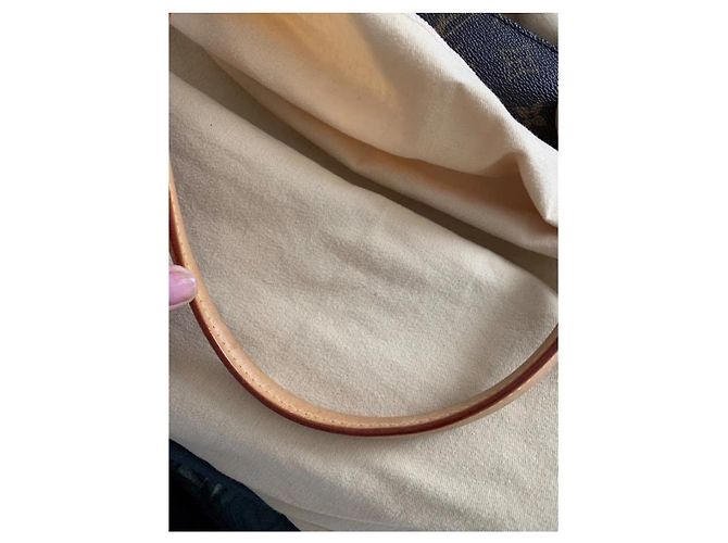 Borsa a mano Louis Vuitton Raspail MM Marrone in Tela - vista 15