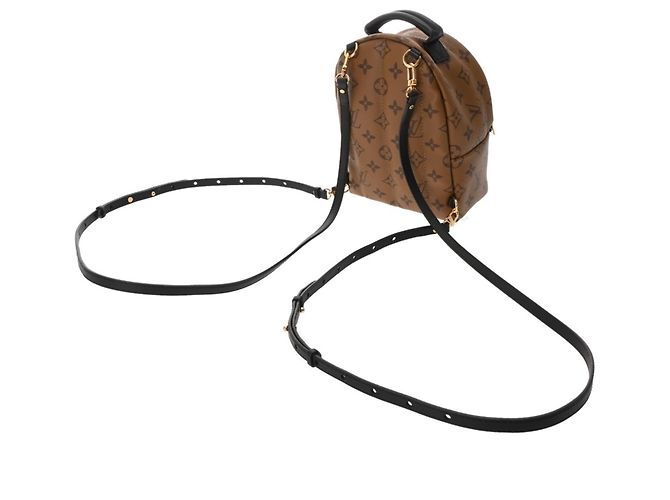 Zaino Mini Palm Springs Monogramma Reverse Louis Vuitton Marrone - vista 3