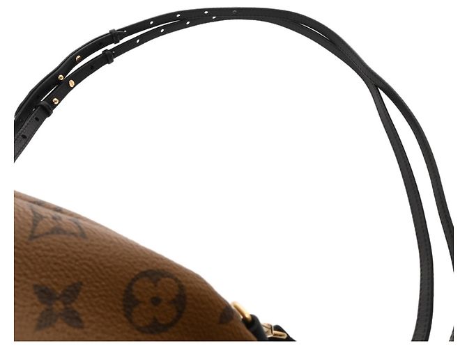 Zaino Mini Palm Springs Monogramma Reverse Louis Vuitton Marrone - vista 4