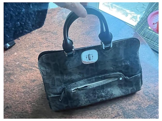 Longchamp Gasby Handtasche aus Leder Pythonprint Python drucken - Ansicht 2