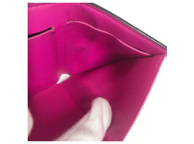 Billetera Compacta Rama Discovery Taiga M30773 de Louis Vuitton Rosa - vista 6