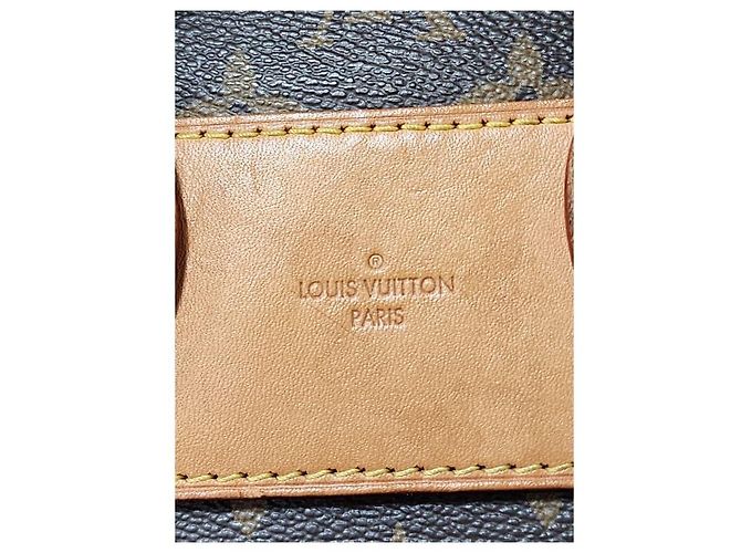 Borsa Aurore Eden PM in tela Monogram Louis Vuitton Marrone Beige - vista 10