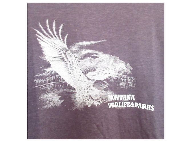 Autre Marque Camiseta de algodón THE SHINZONE EAGLE Gris - vista 6