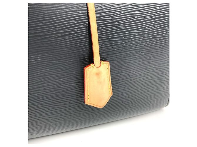 Borsa a tracolla PM in pelle Epi Louis Vuitton per cani Nero - vista 11