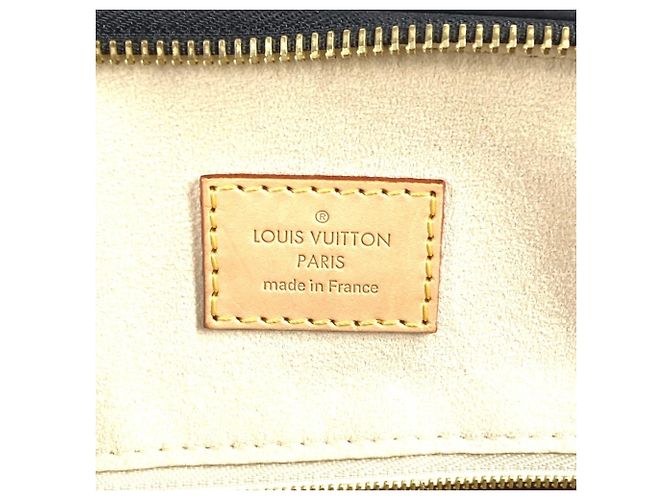 Borsa a tracolla PM in pelle Epi Louis Vuitton per cani Nero - vista 14