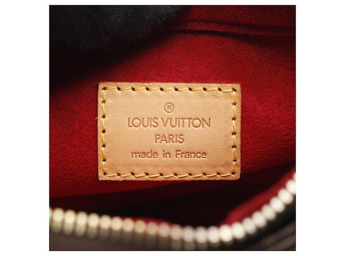 Borsa a Spalla Monogram Viva Cite PM di Louis Vuitton Marrone - vista 4